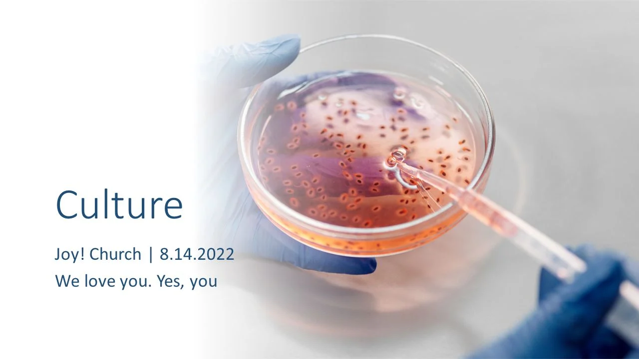 petri dish with culture