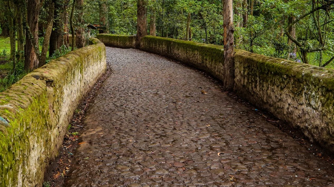 Cobblestone road