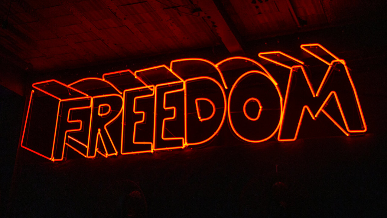 The word freedom in neon lights